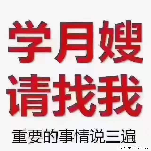 为什么要学习月嫂，育婴师？ - 新手上路 - 肇庆生活社区 - 肇庆28生活网 zq.28life.com