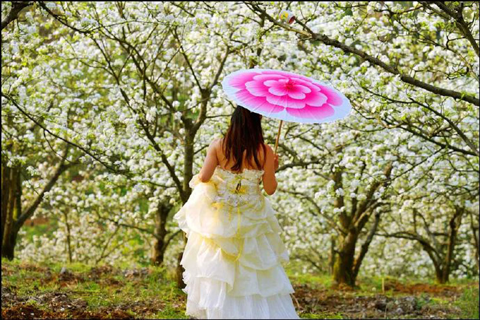 【春天，广西桂林灌阳县向您发出邀请！】我们在灌阳看梨花 - 游山玩水 - 肇庆生活社区 - 肇庆28生活网 zq.28life.com