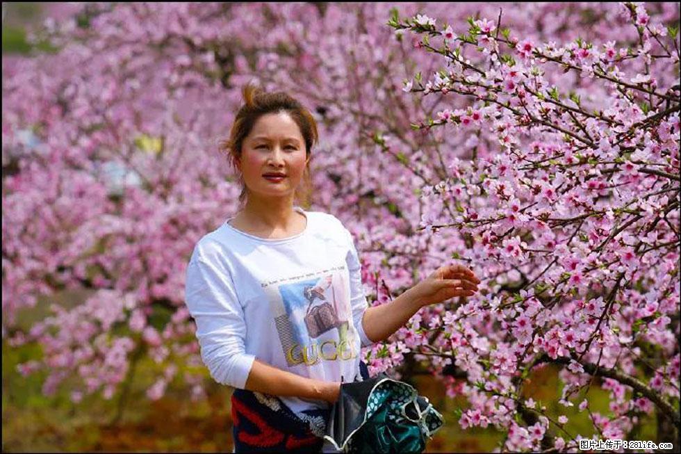 【春天,广西桂林灌阳县向您发出邀请!】官庄村有个醉美的桃花园 - 游山玩水 - 肇庆生活社区 - 肇庆28生活网 zq.28life.com