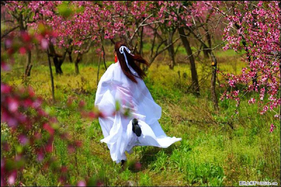 【春天,广西桂林灌阳县向您发出邀请!】官庄村有个醉美的桃花园 - 游山玩水 - 肇庆生活社区 - 肇庆28生活网 zq.28life.com