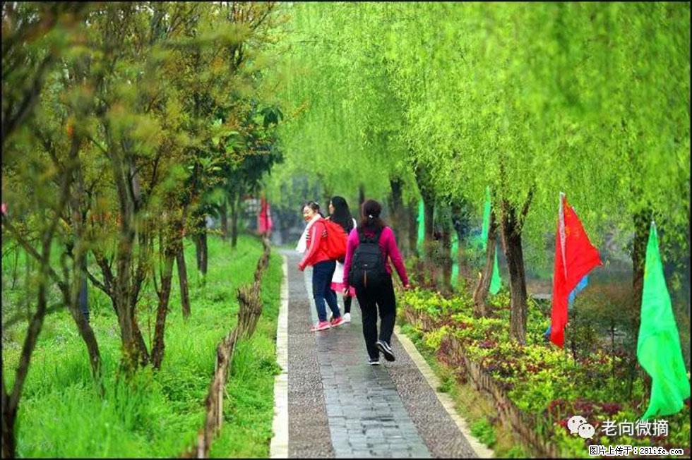 【春天,广西桂林灌阳县向您发出邀请!】江口老街又逢春 - 游山玩水 - 肇庆生活社区 - 肇庆28生活网 zq.28life.com