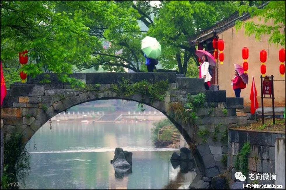 【春天,广西桂林灌阳县向您发出邀请!】江口老街又逢春 - 游山玩水 - 肇庆生活社区 - 肇庆28生活网 zq.28life.com