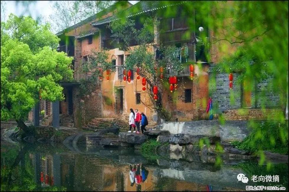 【春天,广西桂林灌阳县向您发出邀请!】江口老街又逢春 - 游山玩水 - 肇庆生活社区 - 肇庆28生活网 zq.28life.com