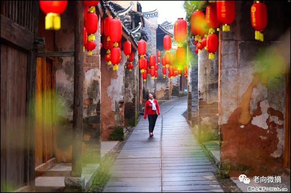 【春天,广西桂林灌阳县向您发出邀请!】江口老街又逢春 - 游山玩水 - 肇庆生活社区 - 肇庆28生活网 zq.28life.com