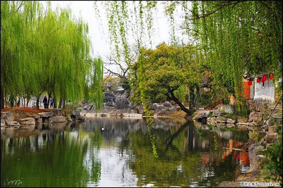 【春天,广西桂林灌阳县向您发出邀请!】江口老街又逢春 - 游山玩水 - 肇庆生活社区 - 肇庆28生活网 zq.28life.com