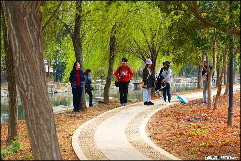 【春天,广西桂林灌阳县向您发出邀请!】江口老街又逢春 - 游山玩水 - 肇庆生活社区 - 肇庆28生活网 zq.28life.com