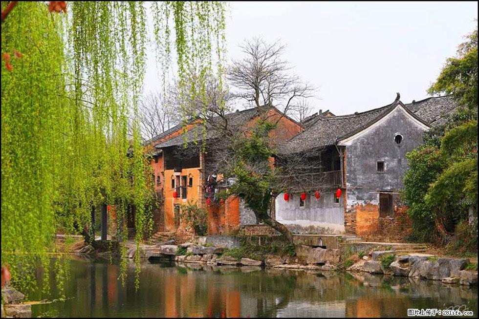 【春天,广西桂林灌阳县向您发出邀请!】江口老街又逢春 - 游山玩水 - 肇庆生活社区 - 肇庆28生活网 zq.28life.com