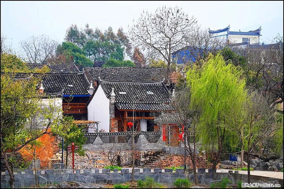 【春天,广西桂林灌阳县向您发出邀请!】江口老街又逢春 - 游山玩水 - 肇庆生活社区 - 肇庆28生活网 zq.28life.com