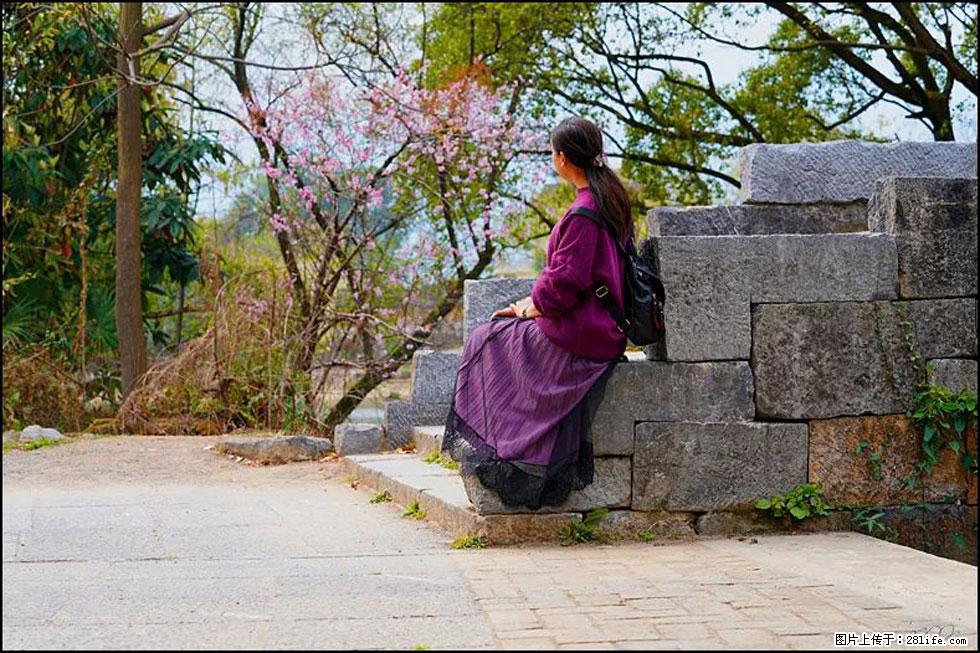 【春天,广西桂林灌阳县向您发出邀请!】江口老街又逢春 - 游山玩水 - 肇庆生活社区 - 肇庆28生活网 zq.28life.com