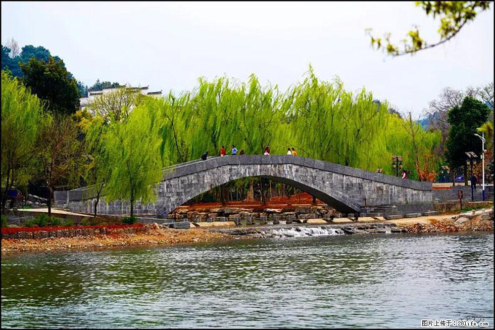 【春天,广西桂林灌阳县向您发出邀请!】江口老街又逢春 - 游山玩水 - 肇庆生活社区 - 肇庆28生活网 zq.28life.com