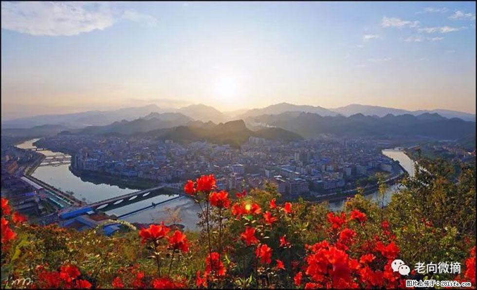 【春天,广西桂林灌阳县向您发出邀请!】登麒麟山,相约映山红 - 游山玩水 - 肇庆生活社区 - 肇庆28生活网 zq.28life.com