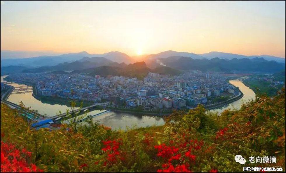 【春天,广西桂林灌阳县向您发出邀请!】登麒麟山,相约映山红 - 游山玩水 - 肇庆生活社区 - 肇庆28生活网 zq.28life.com