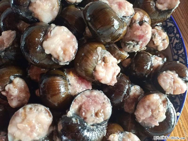 （舌尖上的乡村）灌阳：让人口齿留香的田螺酿 - 2023年07月31日 桂林日报第6版刊发 - 美食天地 - 肇庆生活社区 - 肇庆28生活网 zq.28life.com