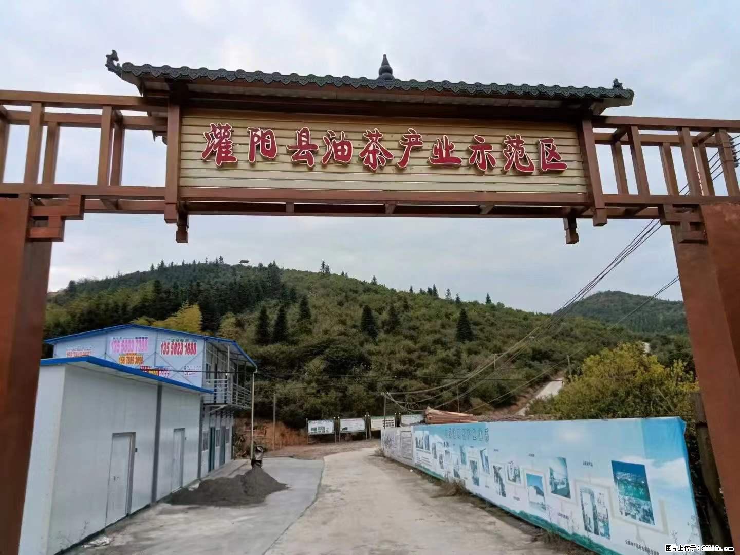 【灌阳县油茶产业示范区】一个有着充实的精神生活的人,对待身外之物自会有一种淡泊的态度 - 美食天地 - 肇庆生活社区 - 肇庆28生活网 zq.28life.com