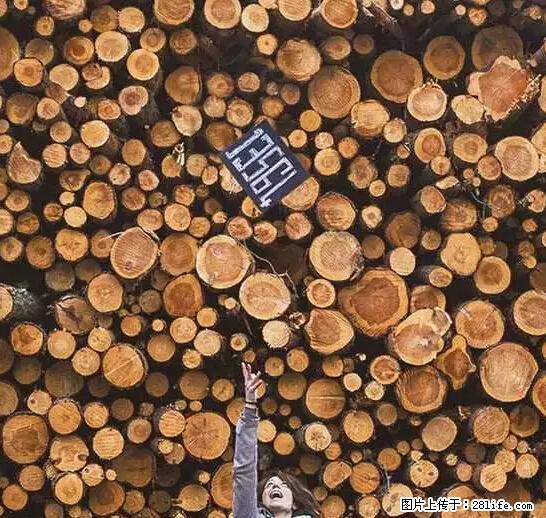 辞掉工作周游世界？现在他们在洗厕所…… - 游山玩水 - 肇庆生活社区 - 肇庆28生活网 zq.28life.com