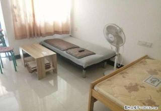 阳光未来城 一房一厅出租 全新未入住 - 肇庆28生活网 zq.28life.com