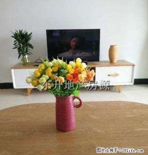 君山新城 精装修 家私家电全齐 拎包入住 手慢则无 - 肇庆28生活网 zq.28life.com