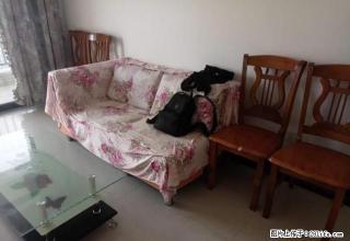 阳光未来城真实图片 南北通透 采光好 交通便利 方便出行 - 肇庆28生活网 zq.28life.com