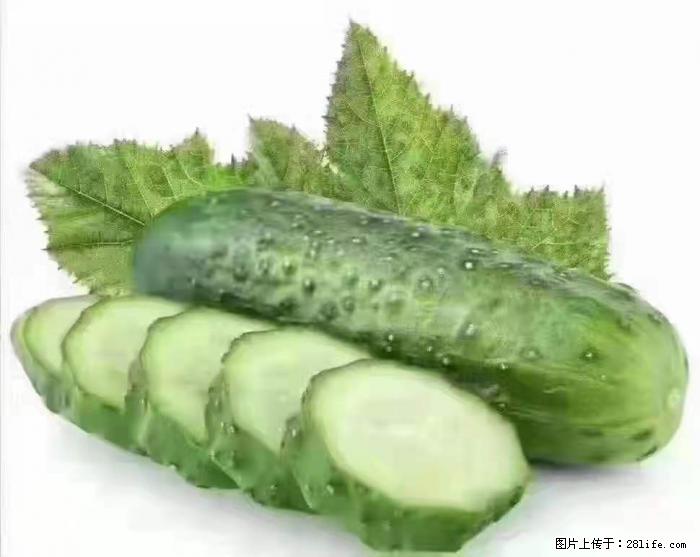 【生活小常识】吃黄瓜的好处 - 生活百科 - 肇庆生活社区 - 肇庆28生活网 zq.28life.com