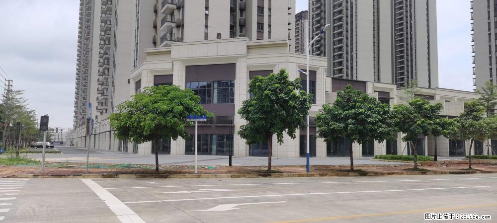 【广西三象建筑安装工程有限公司】绿地东盟大学城 grc构件 4个地块,施工周期两年 - 新手上路 - 肇庆生活社区 - 肇庆28生活网 zq.28life.com