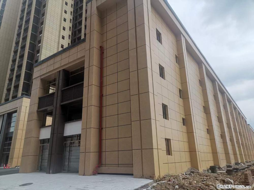 【广西三象建筑安装工程有限公司】外墙涂料工程 - 新手上路 - 肇庆生活社区 - 肇庆28生活网 zq.28life.com