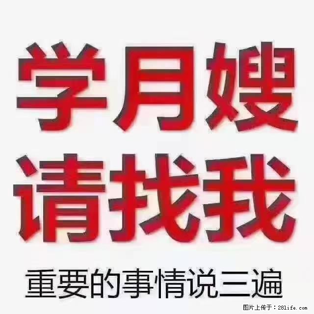 【招聘】月嫂，上海徐汇区 - 职场交流 - 肇庆生活社区 - 肇庆28生活网 zq.28life.com