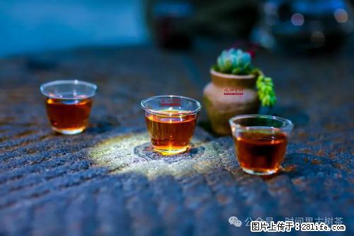 时间果百年古树2025年春红茶 - 购物交流 - 肇庆生活社区 - 肇庆28生活网 zq.28life.com