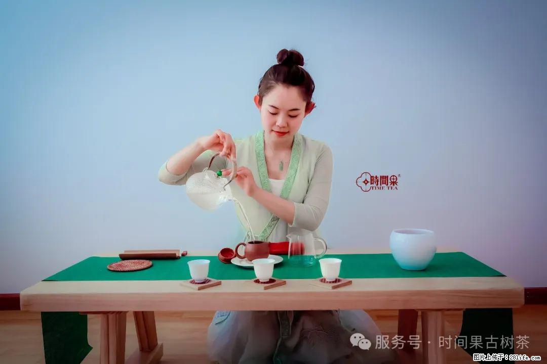 时间果百年古树龙珠普洱生茶 - 购物交流 - 肇庆生活社区 - 肇庆28生活网 zq.28life.com