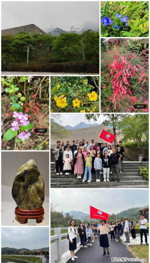 “粤灌文化 美好生活”油茶文化主题活动在广东深圳成功举办 - 肇庆生活资讯 - 肇庆28生活网 zq.28life.com