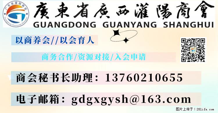 “粤灌文化 美好生活”油茶文化主题活动在广东深圳成功举办 - 肇庆生活资讯 - 肇庆28生活网 zq.28life.com