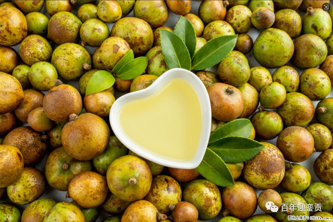 世界没有真相，只有认知，最好的食用油是中国的山茶油！ - 肇庆生活资讯 - 肇庆28生活网 zq.28life.com