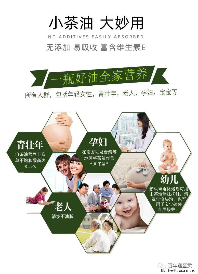 世界没有真相，只有认知，最好的食用油是中国的山茶油！ - 肇庆生活资讯 - 肇庆28生活网 zq.28life.com