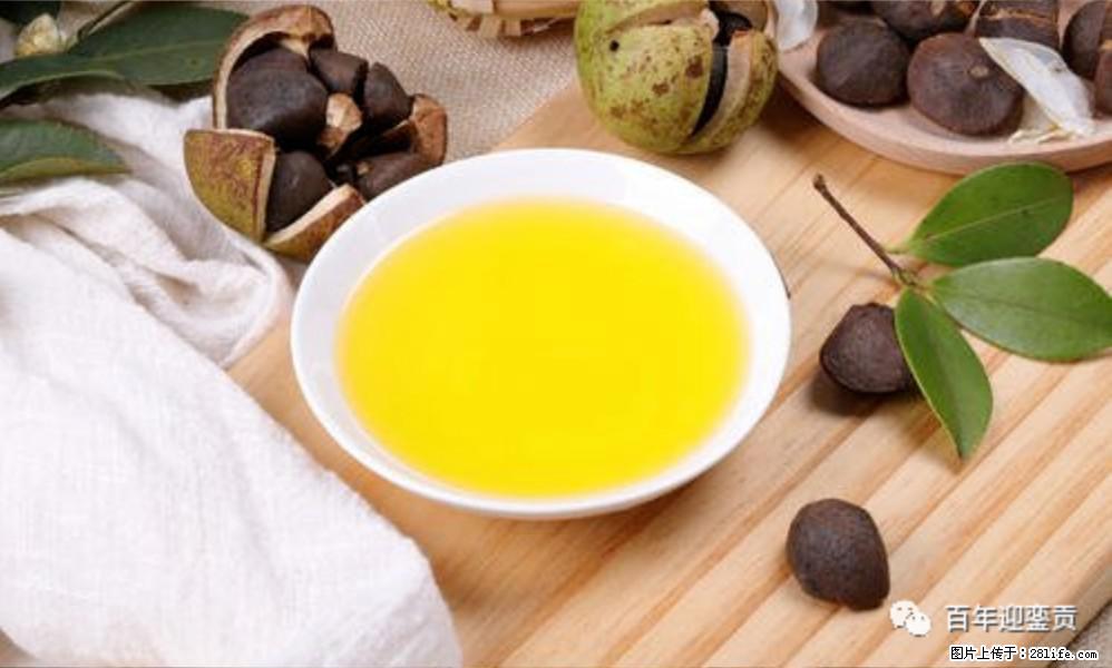 世界没有真相，只有认知，最好的食用油是中国的山茶油！ - 肇庆生活资讯 - 肇庆28生活网 zq.28life.com