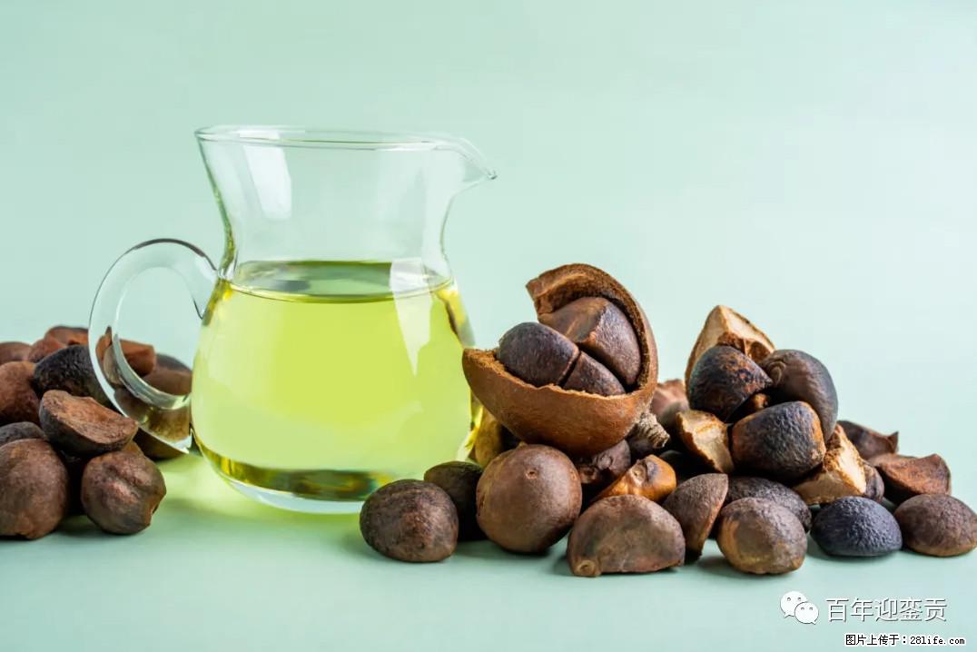 世界没有真相，只有认知，最好的食用油是中国的山茶油！ - 肇庆生活资讯 - 肇庆28生活网 zq.28life.com
