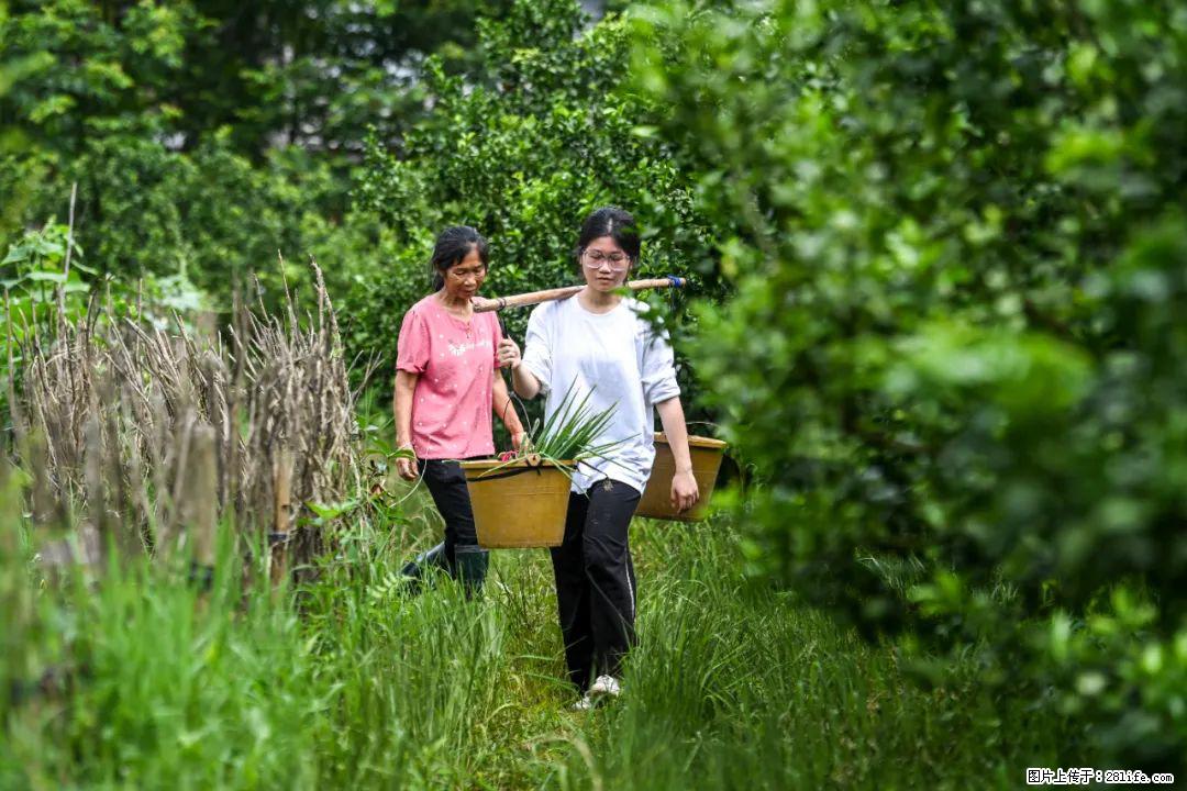全网追的“扁担女孩”,找了一份暑假工,时薪12元 - 肇庆生活资讯 - 肇庆28生活网 zq.28life.com