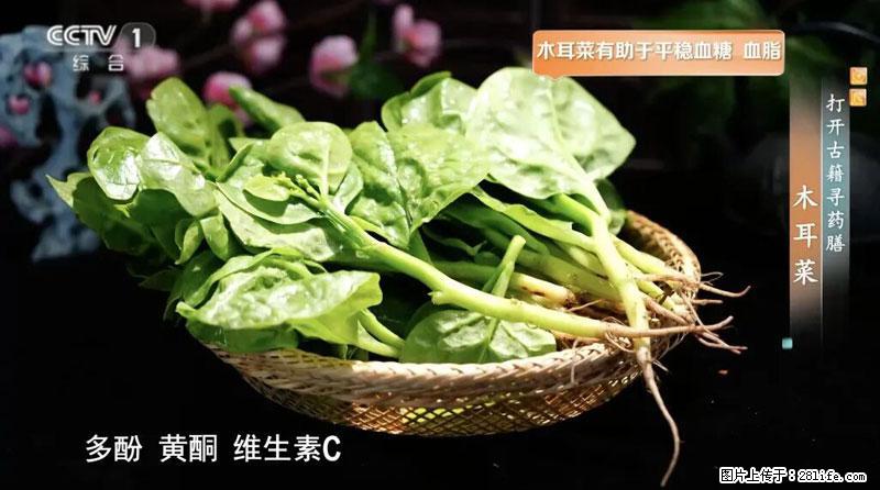 比牛奶补钙还厉害！凉血解毒、稳血糖...这菜冬天必吃，很多人却当草 - 肇庆生活资讯 - 肇庆28生活网 zq.28life.com