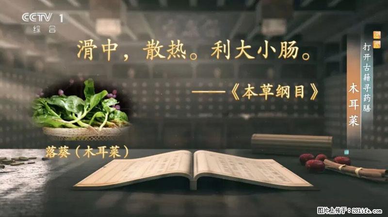 比牛奶补钙还厉害！凉血解毒、稳血糖...这菜冬天必吃，很多人却当草 - 肇庆生活资讯 - 肇庆28生活网 zq.28life.com