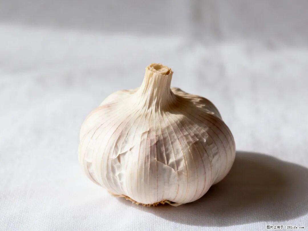 关于大蒜，除了“天然抗生素”，这4个谣言更该警惕! - 肇庆生活资讯 - 肇庆28生活网 zq.28life.com