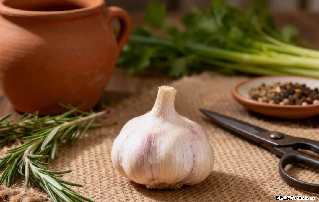 关于大蒜，除了“天然抗生素”，这4个谣言更该警惕! - 肇庆生活资讯 - 肇庆28生活网 zq.28life.com