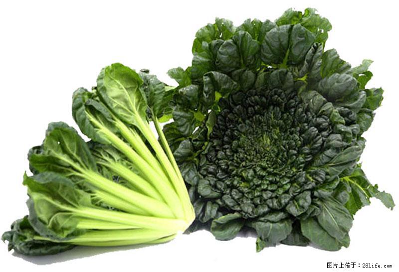 这些蔬菜是“天然钙片”,这6种被医生重点推荐 - 肇庆生活资讯 - 肇庆28生活网 zq.28life.com