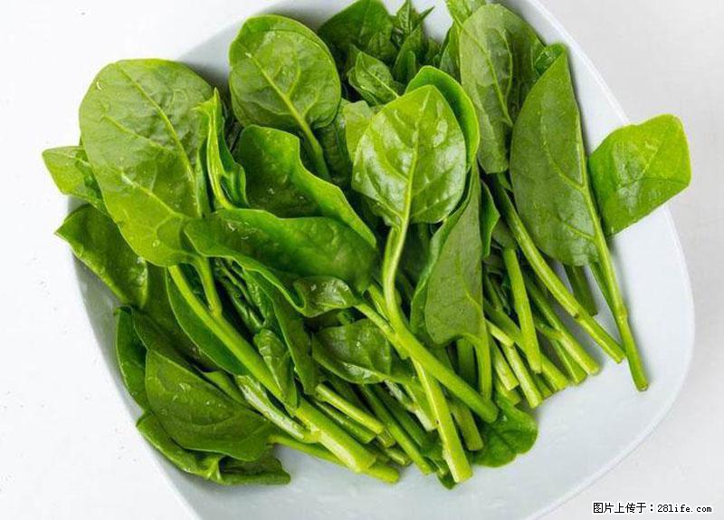 这些蔬菜是“天然钙片”,这6种被医生重点推荐 - 肇庆生活资讯 - 肇庆28生活网 zq.28life.com