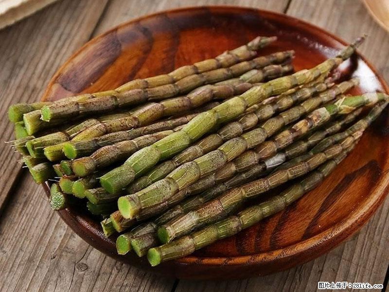 铁皮石斛的作用与功能主治 - 肇庆生活资讯 - 肇庆28生活网 zq.28life.com