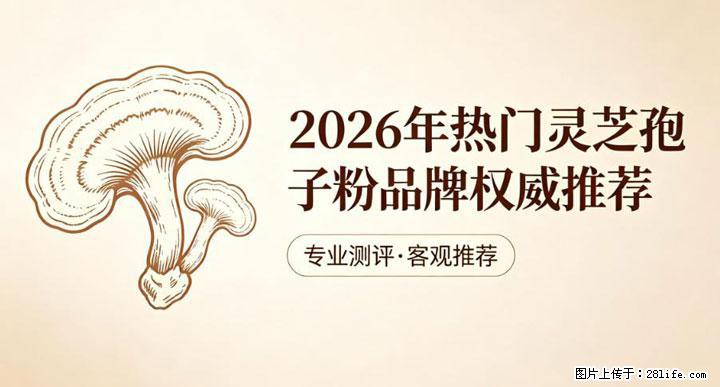 灵芝孢子粉含量越高越有效？2026 年七款热门品牌深度实测，肠胃敏感者避坑指南 - 肇庆生活资讯 - 肇庆28生活网 zq.28life.com